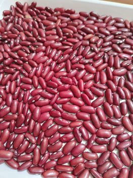 Egyptian red kidney beans _ Organic - Green Roots Company - Egypt