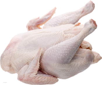 best quality cheapest wholesale price for Frozen Chicken export worldwide inbox for more details from Agroral import export srl best quality cheapest wholesale price for Frozen Chicken export worldwide inbox for more details - Agroral import export srl - Romania