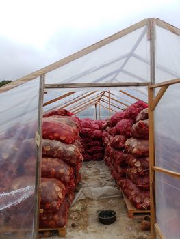Dry Copra Buying Leads, Buyers & Importers - Marcona Karenindo Synergi - Indonesia