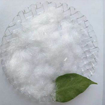 Low Price Plastering Mortar Additive Polypropylene Fiber PP Fiber - GUANGTONG CLYDE CHEMICAL CO., LTD. - China