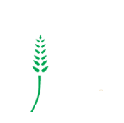 Product – product photo, Dried Seaweed Powder products found from trusted suppliers, wholesalers, manufacturers & exporters Listing