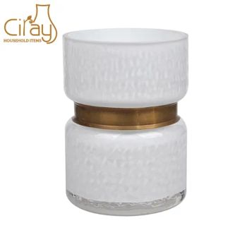 Frosted Decorative Glass Flower Vase with Metal Accessory OEM Yes ODM Yes Mold Yes Stock No Age Modern MOQ 500PCS Size Medium - Foshan Ciray Household Products Co., Ltd. - China