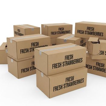 Fresh Strawberries Premium Red Fruit Collection Featuring Excellent Moisture Balance And Fresh Farm Picked Quality - TOSOH INTERNATIONAL - South Africa
