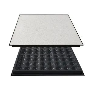 The Adjustable HPL Anti-Static Veneer Floor Is Suitable for Places with Ribbon Cables and Anti-Static Properties - Changzhou Huateng Access Floor Co., Ltd. - China