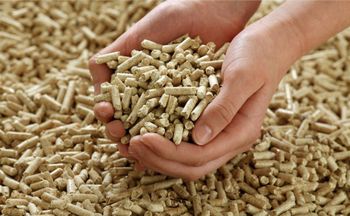 Best Quality Grade 1 Wood Pellet Diameter 6mm  BIO MASS FUEL PALLETS - NOBLESHINE INTERNATIONAL - India