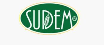 Sudem Sponge Cake Mix Cacao (egg Included) - SUDEM BAKERY AND PASTRY PRODUCTS - Turkey