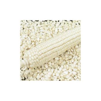 High-quality white maize available in bulk at the best wholesale rates - MASI TRADING GMBH - Germany