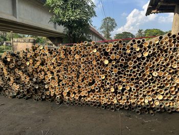 Bamboo splits – product photo, Recommend Fallback
