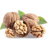 Product – product photo, Dried Kiwi Fruit products found from trusted suppliers, wholesalers, manufacturers & exporters Listing