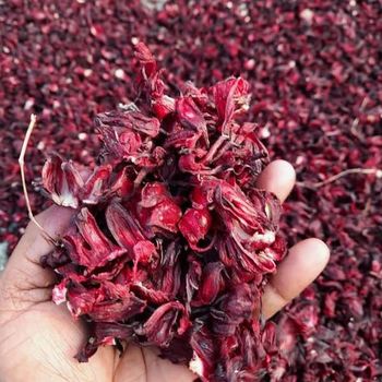 Hibiscus Tea - OMA WORLD NIGERIA LIMITED - Nigeria