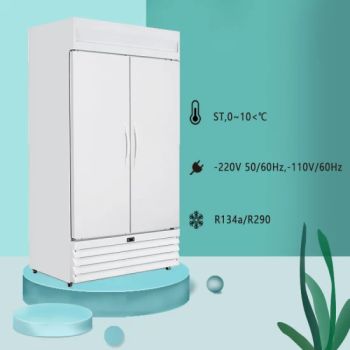Double Door Laboratory Refrigerator, Pharmaceutical Refrigerators Is Specialized Refrigerating Equipment for Cold Storage of Pharmaceuticals - Apex Refrigeration Equipment Limited - China