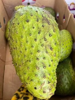 Soursop fruits - Tropical fruits land - United States