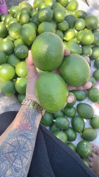 Meyer Lemon from Analiza fruit store Meyer Lemon - Analiza fruit store - Philippines