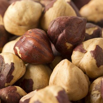 Brown Hazelnuts Export Stock Fresh Harvest Hazelnuts For Global Wholesale Buyers Safe Packing Method - AGRO AFRIQUE COMPANY LIMITED - Tanzania