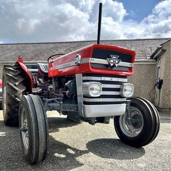In Stock Massey Ferguson 135 Walking Tractor 50 HP Diesel Engine Available Now for Farm Work from Smart Agri GmbH In Stock Massey Ferguson 135 Walking Tractor 50 HP Diesel Engine Available Now for Farm Work - Smart Agri GmbH - Germany
