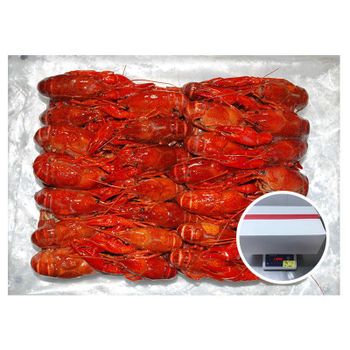 Premium Frozen Crayfish Whole Round Freshly Processed Export Quality Seafood For International Wholesale Supply Markets - TOSOH INTERNATIONAL - South Africa