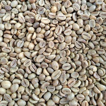 Robusta and Arabic Coffee Bean Extract Powder for hot market Part Bean Organic Yes Port Antwerp Shape Natural Feature Herbal - S-SQUAD - France
