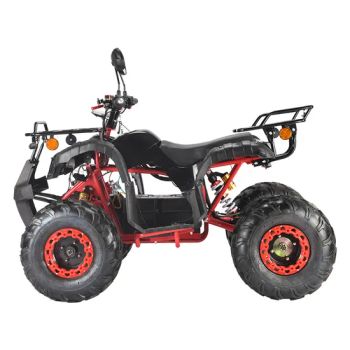 Mountain Bikes 4 Wheeler Quad Bike ATV Farm Quad Bike 2000W Quad Electric Atvs for Adults ATV - Qingdao Ueasy Technology Co., Ltd. - China