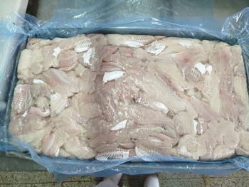 Hubbsi Hake B&P - Smith Trading Company - Venezuela, Bolivarian Republic of