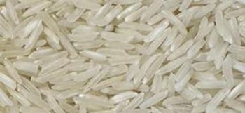 Super Fine Basmati RIce Features Organic Product Type Rice Origin Asia, Pakistan - Elite Global General Trading FZC LLC - United Arab Emirates