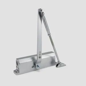 Modern Design Heavy-Duty Aluminum Hydraulic Soft-Closing Automatic Door Closer for Hotels - Wenzhou Liwang Hardware Technology Co., Ltd. - China