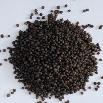 18-46-0 DAP Fertilizer Granular Multi-Nutrient Ammonium Phosphate Rock Phosphate Quick Release Industrial Use 98% Purity CAS No. - Carla Pisselli Commercio - Brazil