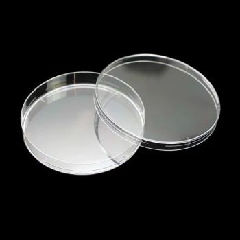 Wholesale Polypropylene Petri Dishes Plastic Sterile Origin China Diameter 90mm Material Plastic Trademark Sun Trine Certification CE, - Taizhou Sun Trine Biotechnology Co., Ltd. - China