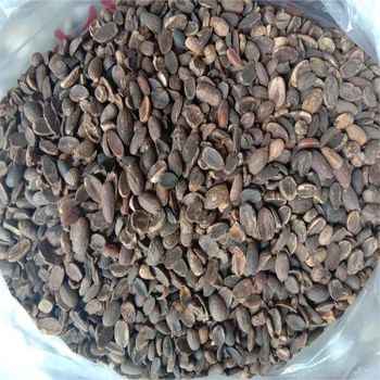Peeled Acorn Nuts Gray Kernels Oak Fruit 25kg Raw Material of Acorn Starch - Xiangyang Sanzhen Ecological Agriculture Co., Ltd. - China