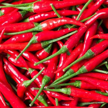 Green and Red Bird Eye Chillies - Maple Grower's & Exporters Ltd - Kenya