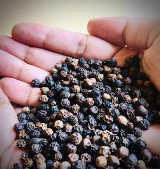 SPICES LIKE BlACK PEPPER from Iai holding as SPICES LIKE BlACK PEPPER – product photo, Dehydrated Black Pepper products found from trusted suppliers, wholesalers, manufacturers & exporters Listing