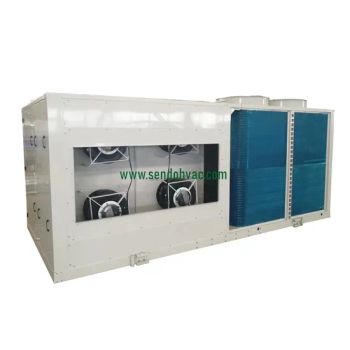 200kw HVAC Cooling System with Copeland Scroll Compressors and Ec Fans - Jinan Sendo Air Conditioning Co., Ltd. - China