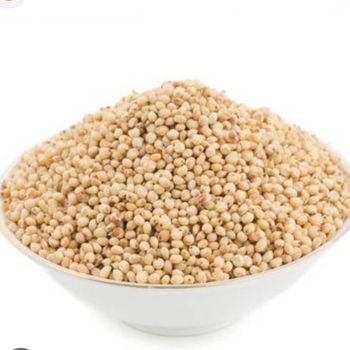 Sorghum from Jumons global limited Sorghum – product photo, Sorghum products found from trusted suppliers, wholesalers, manufacturers & exporters Listing