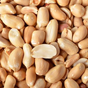 Farm Fresh Whole Peanuts Bulk Trade Supply Natural Peanuts For Roasting Grinding And Nut Processing Industry Buyers - THE GREEN INTERNATIONAL LIMITED - Tanzania