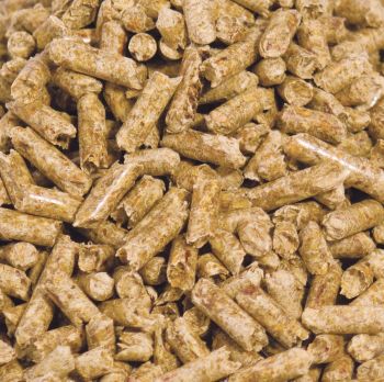 wood pellets Fines ≤ 1% Length 3–6 Cm Diameter 8 Mm Durability ≥ 95% Ash Content ≤ 1.5% Color Light Brown / Brown Bulk Density 600–700 - Mohammad Erizan Hairiri - Indonesia