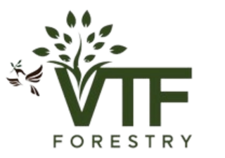 Product from Vision 2050 FBR Timber Product - Vision 2050 FBR Timber - United States