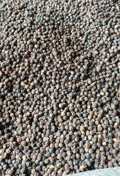 Black pepper from Achanta exports & imports Black pepper – product photo, Dehydrated Black Pepper products found from trusted suppliers, wholesalers, manufacturers & exporters Listing