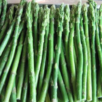 Top Quality Frozen Green Asparagus Spears, Whole Spears Asparagus New Corp Vegetable for Sale - Jiangsu e.Funs Import & Export Co., Ltd. - China