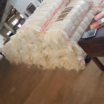 Sisal Fiber Ug Grade / Ssug Grade from DABELU ENTERPRISES LIMITED Sisal Fiber Ug Grade / Ssug Grade – product photo, Sisal Fiber Bags products found from trusted suppliers, wholesalers, manufacturers & exporters Listing