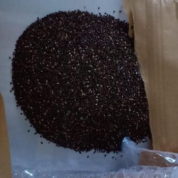 Chia seeds - SWIFT THIRTY SIX ENTERPRISES LIMITED - Kenya