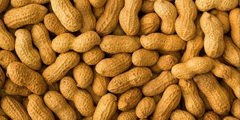 peanut - CUBICDIOC GENERAL SOLUTION - Tanzania