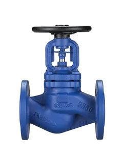 Petrochemical Flanged Cast Iron Globe Valve - Qingdao Haozhifeng Machinery Co., Ltd. - China