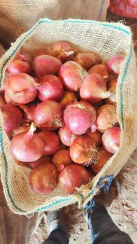 FRESH ONION – product photo, Fresh Shallot Onion products found from trusted suppliers, wholesalers, manufacturers & exporters Listing