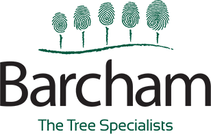 Product - BARCHAM TREES PLC - Global