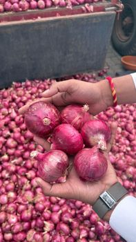 onion - Shrim Industries - India