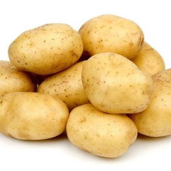 Potatoes (Export Quality from India) Origin India Texture Excellent Texture Starch Content High Starch Content Cooking Quality Excellent Cooking Quality - AGROCARTE EXIM ENTERPRISES PVT LTD - India