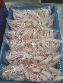 Wholesale Frozen Chicken Paws Frozen Chicken Feet from IN INDUSTRIA E COMERCIO LTDA Wholesale Frozen Chicken Paws Frozen Chicken Feet - IN INDUSTRIA E COMERCIO LTDA - Brazil