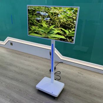 Pet Shop Digital Signage 500 Nits Brightness Free Standing LCD Retail Display Advertising Player - Foshan Starmond Technology Co., Ltd. - China