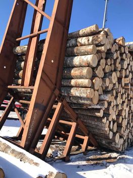 Birch wood logs Grade ABC Material Birch Place of Origin Latvia, - QHD International Trading - Vietnam
