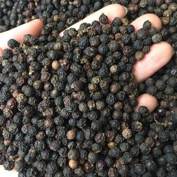 Black Pepper 550GL FAQ from VietGlobal Export Black Pepper 550GL FAQ – product photo, Dehydrated Black Pepper products found from trusted suppliers, wholesalers, manufacturers & exporters Listing