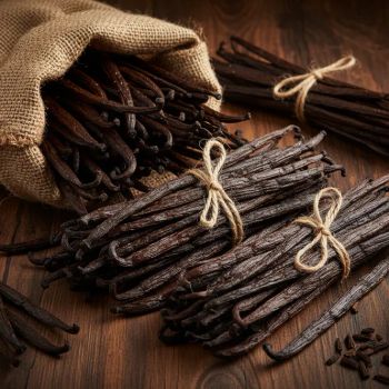 Indonesian Vanilla Beans (Vanili) Botanical Name Vanilla planifolia - PT Cipta Tunggal Agronusa - Indonesia